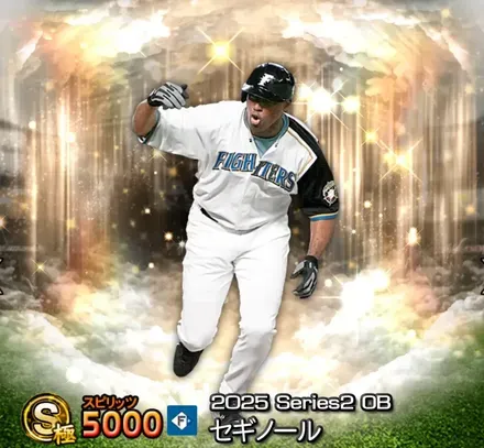 セギノール画像