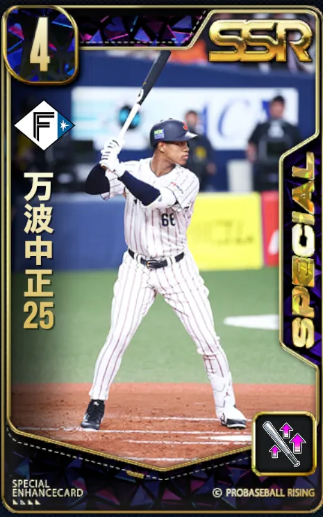 万波中正25の画像