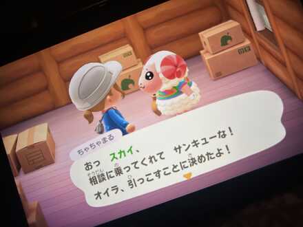 コメント画像