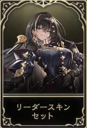 リーダースキン