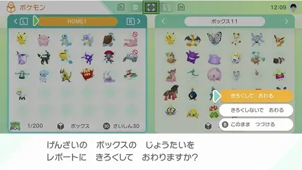 レポートを書く