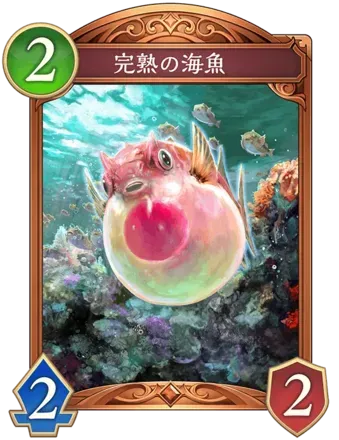 完熟の海魚の画像