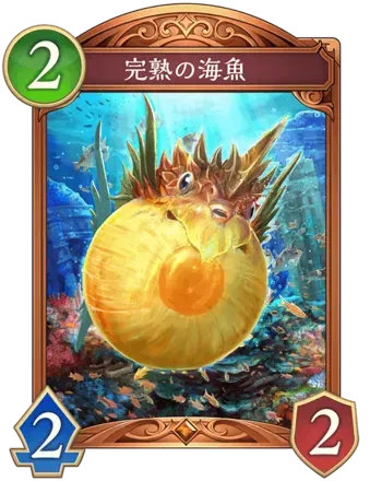 完熟の海魚画像