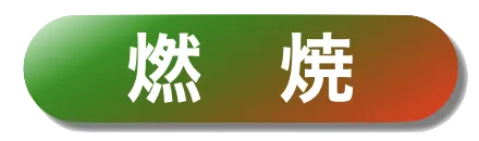 燃焼反応
