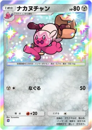 ナカヌチャン（B2a-124/93）