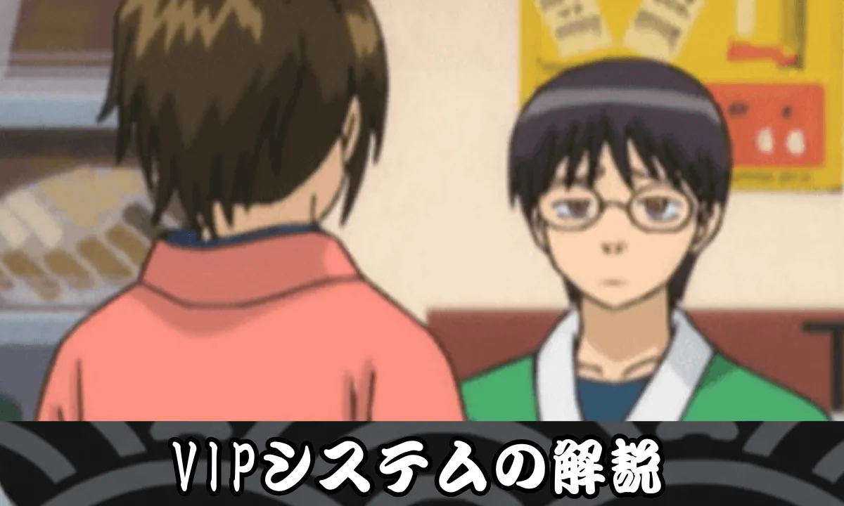 VIPシステムの解説