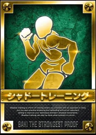 シャドートレーニングの画像