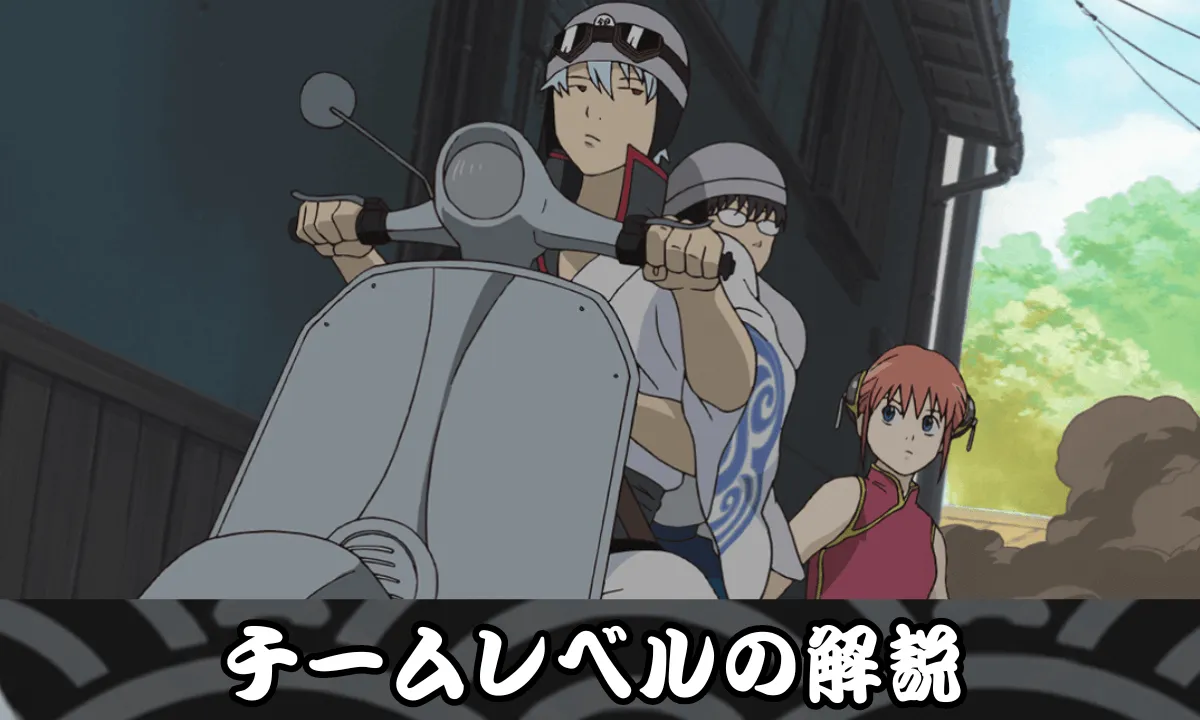 チームレベルの解説