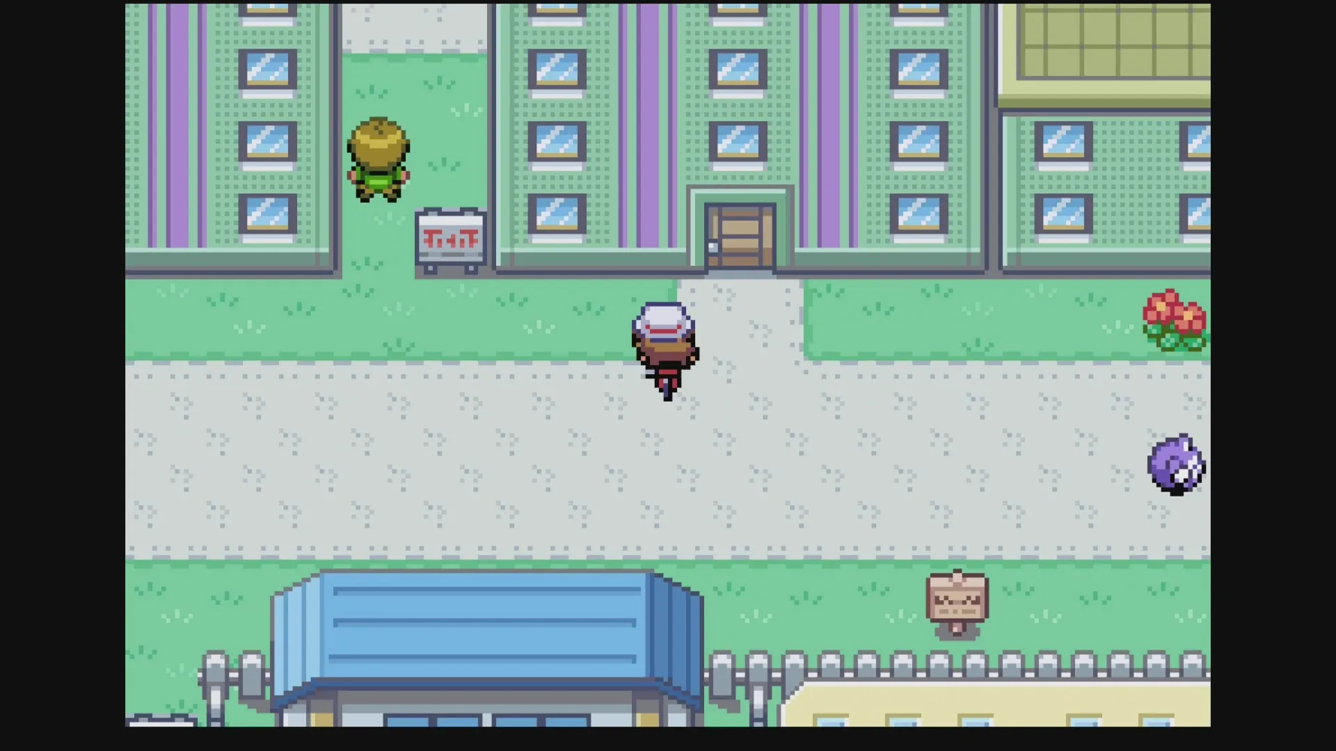 おちゃの入手場所