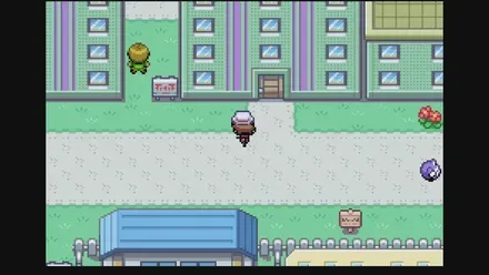 おちゃの入手場所