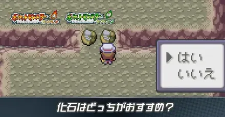 化石はどっちがおすすめ？