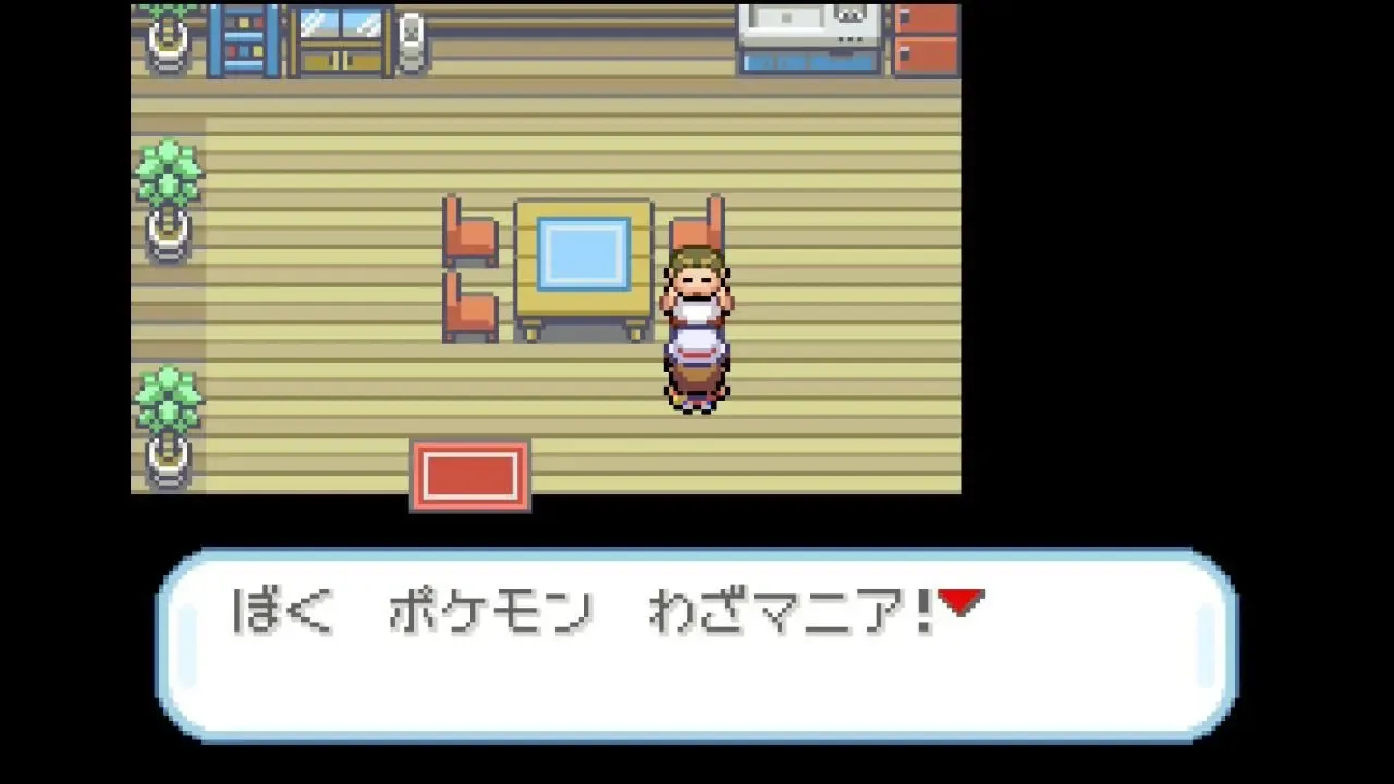 わざマニアの見た目