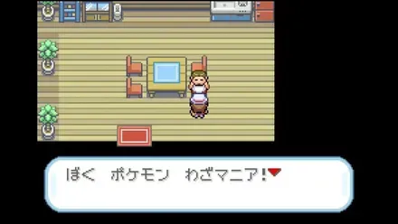 わざマニアの見た目