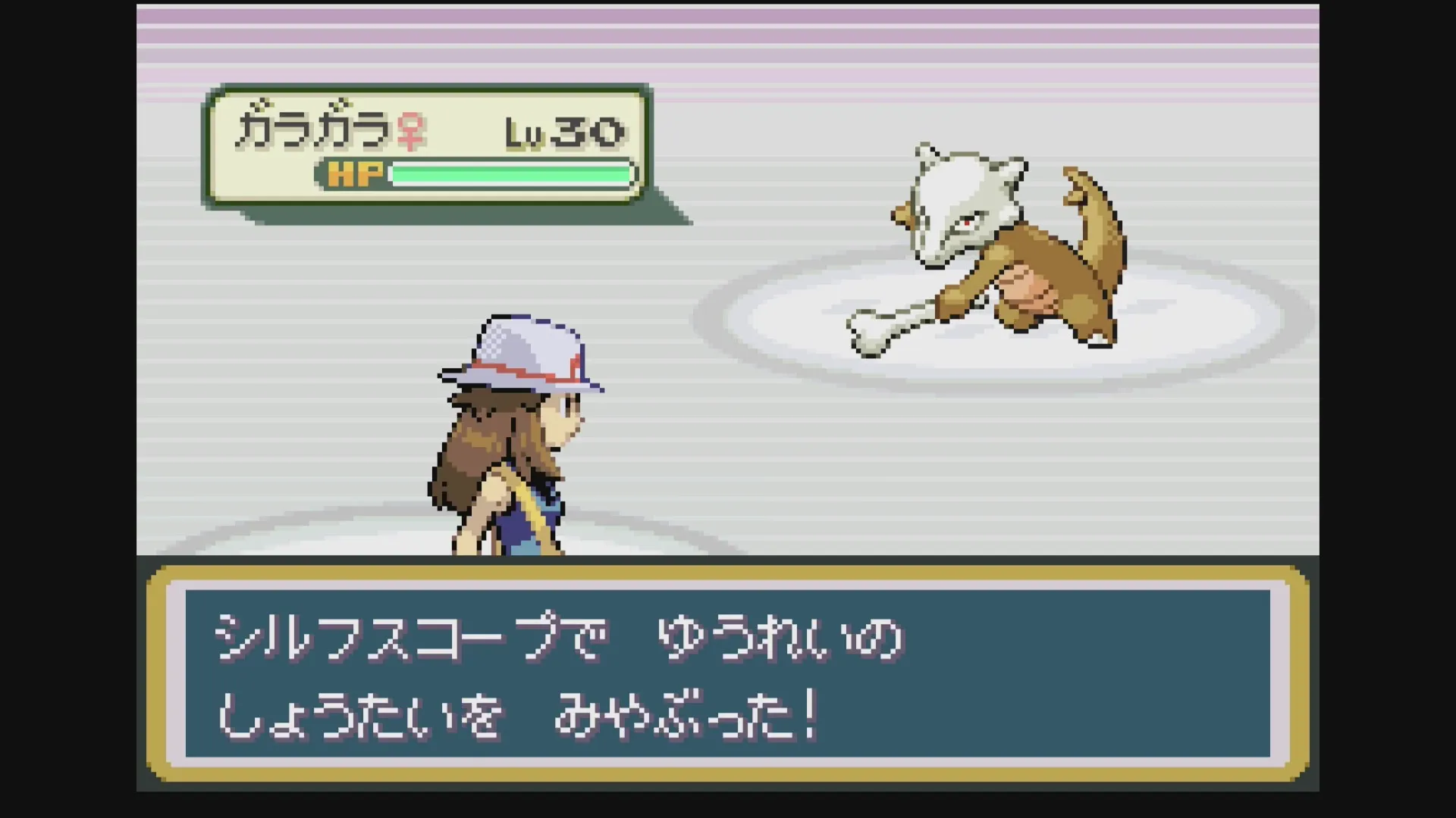 ゆうれいの正体