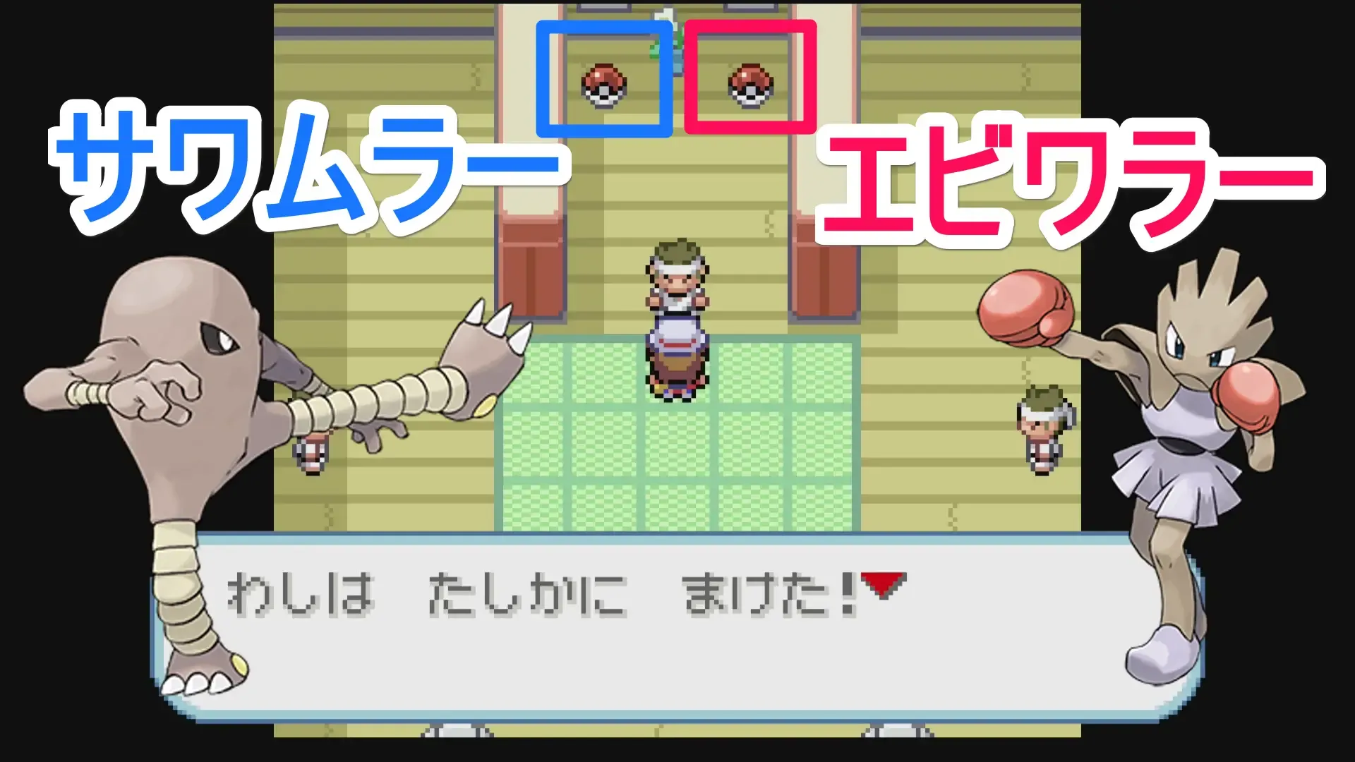 サワムラーとエビワラー