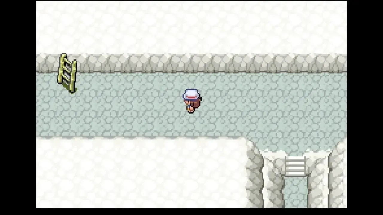 へそのいわの頂上まで登る