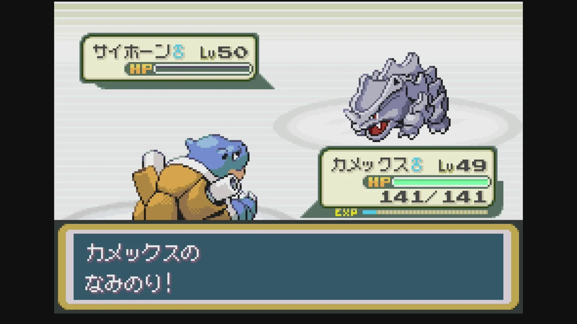 カメックスなみのり