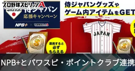 NPBプラス