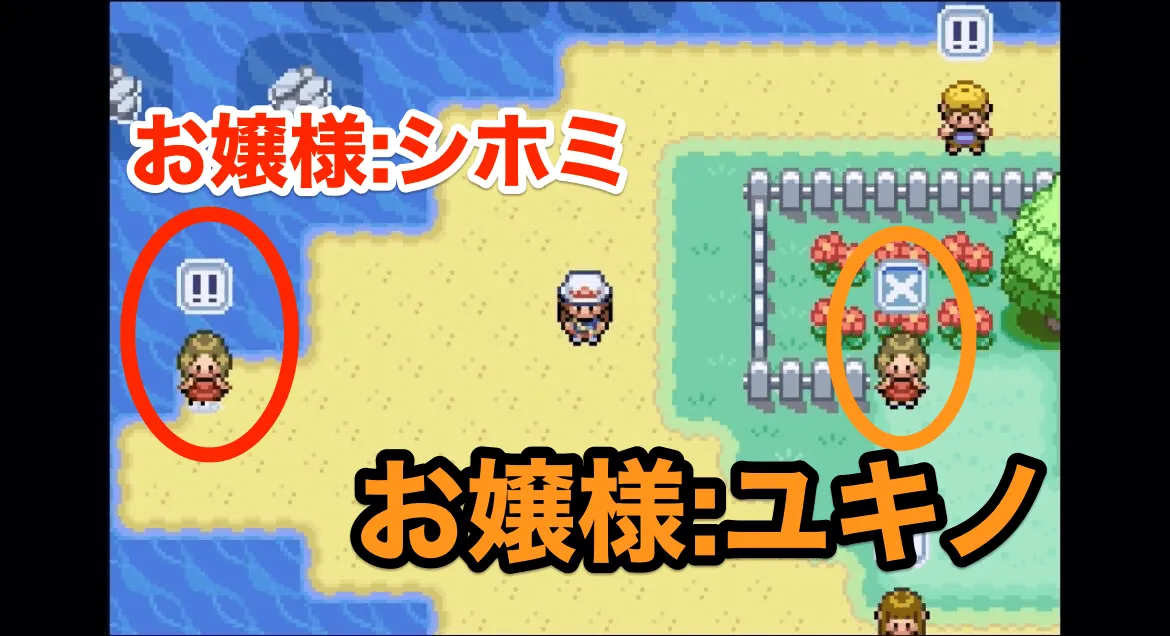 5の島のゴージャスリゾート