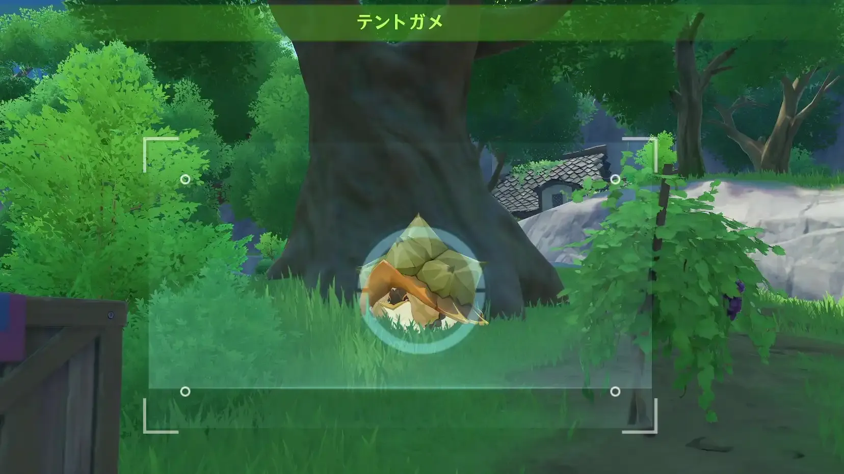 3日目まちがい探しテントガメ