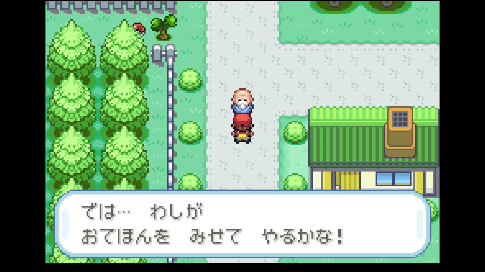 捕獲おじいさん