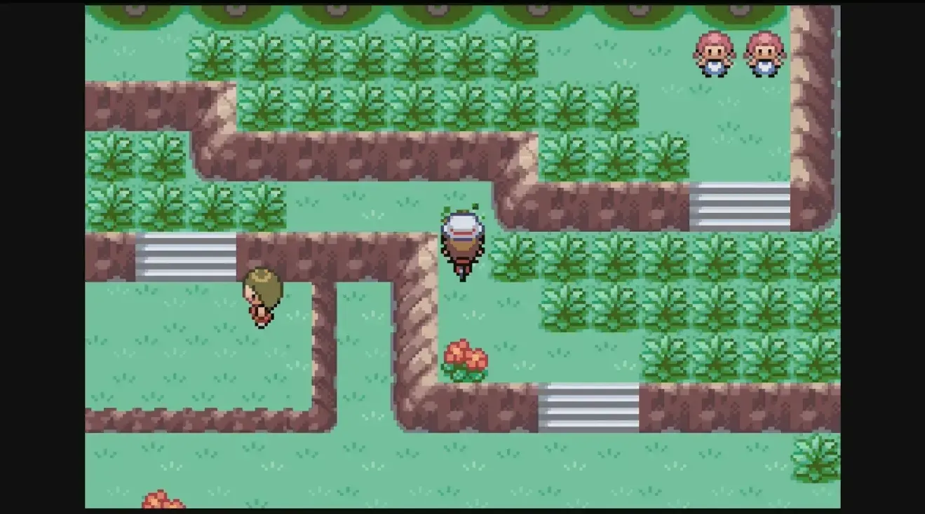 きずなばしを道なりに進みきのみの森へ入る