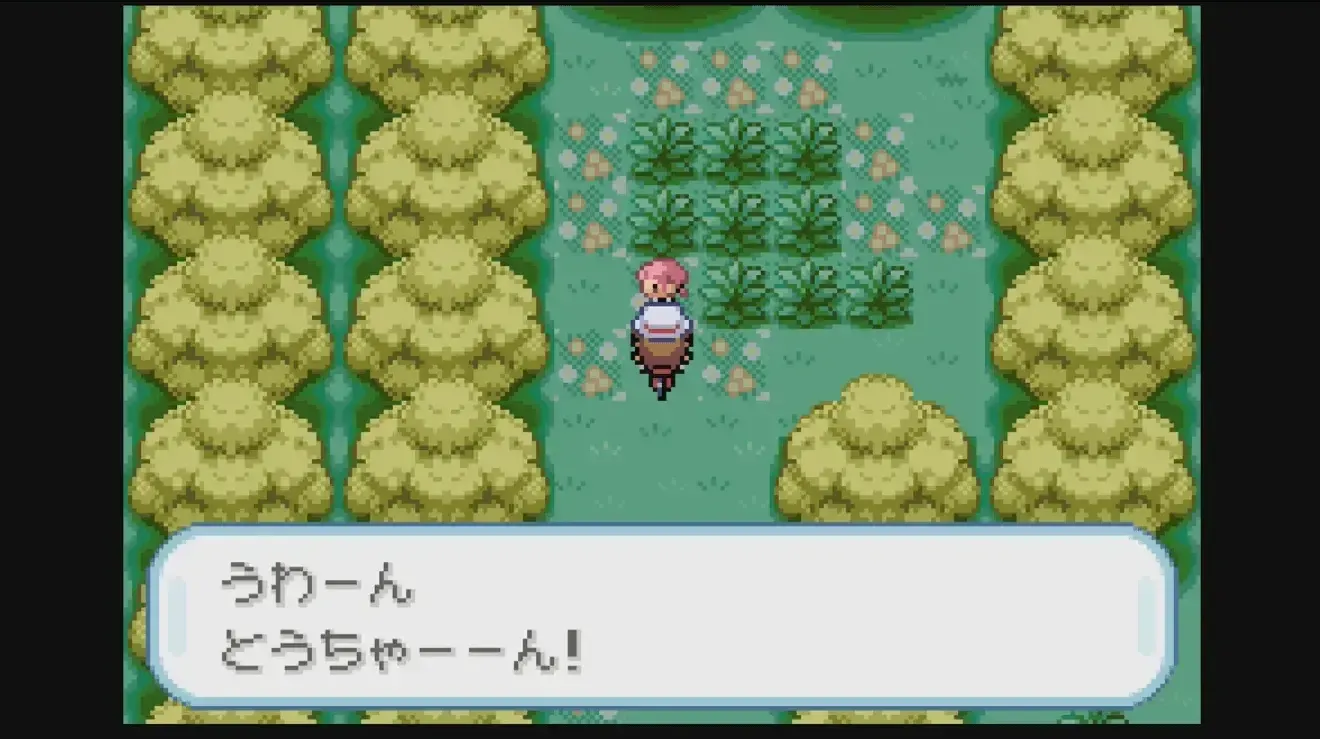 きのみの森の最奥でマヨちゃんを発見