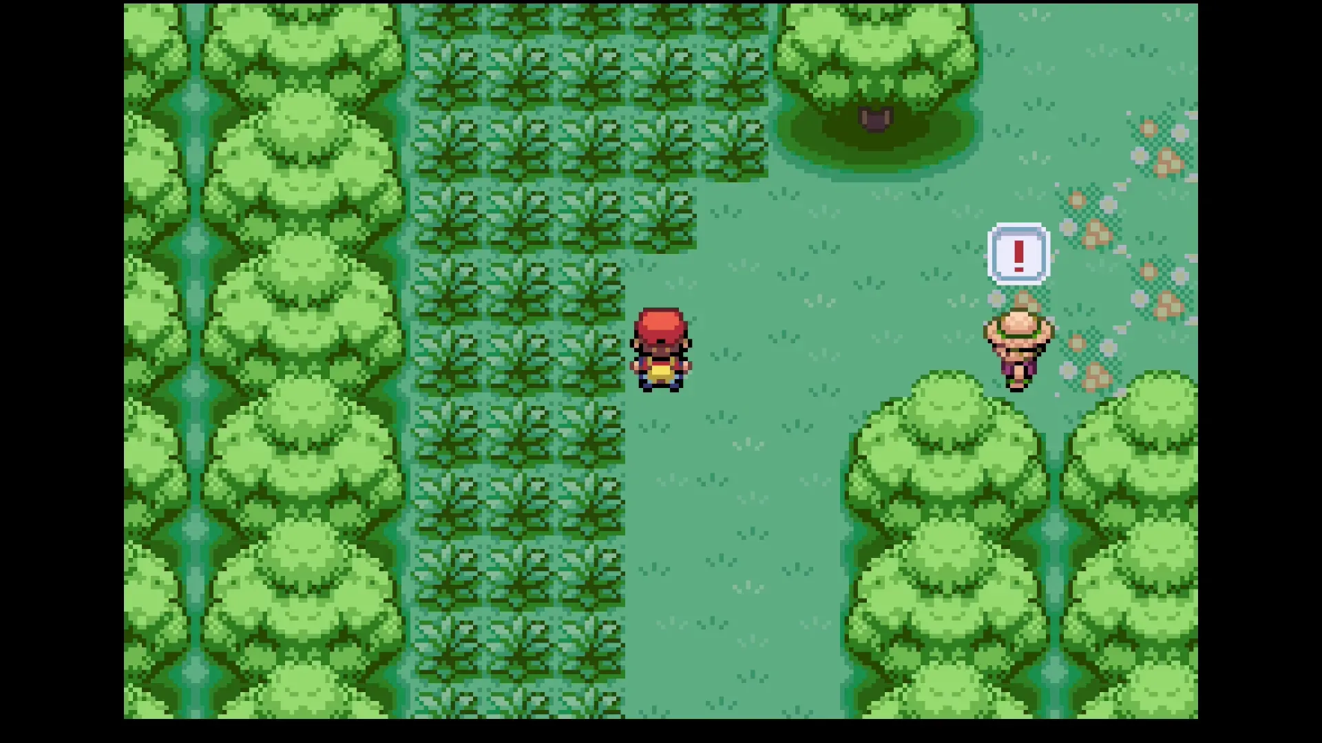 トレーナーと勝負