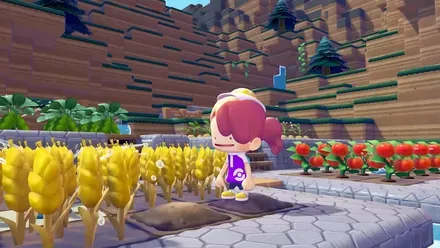 ぽこ あ ポケモン