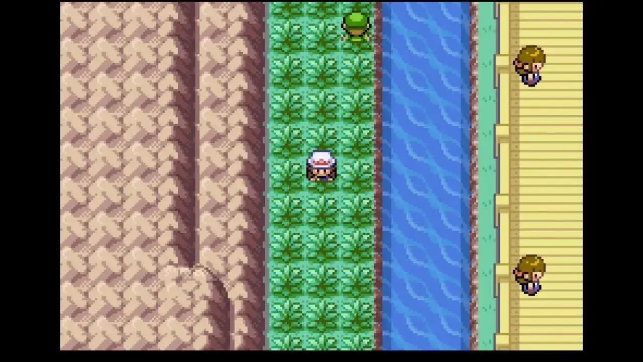 24番道路の草むら