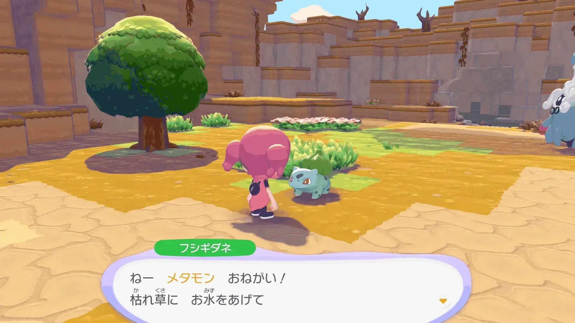 フシギダネのお願い事