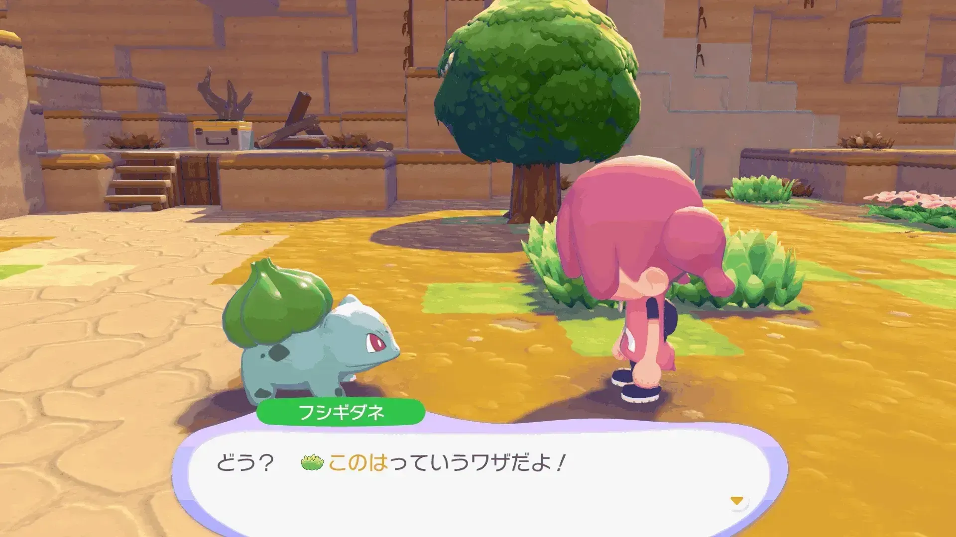 このはを覚える