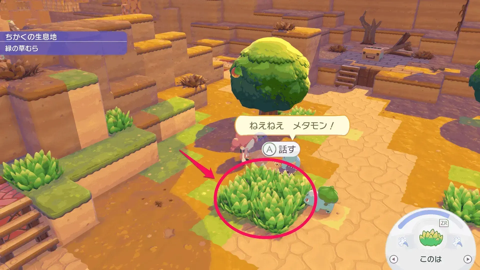 ゼニガメのお願い(住処）