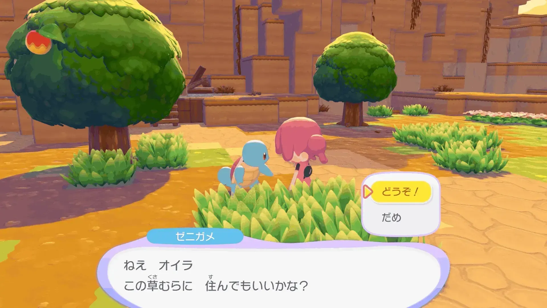 ゼニガメに報告