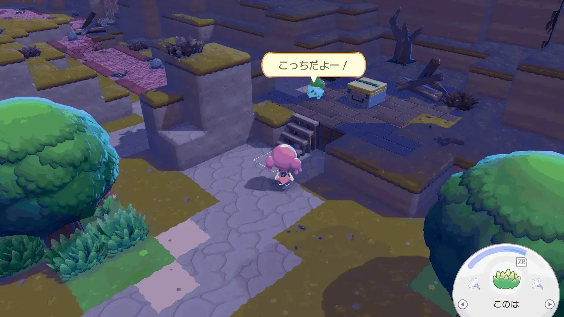 フシギダネについていく