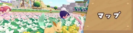ぽこポケのマップ攻略