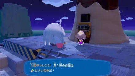 入団チャレンジ