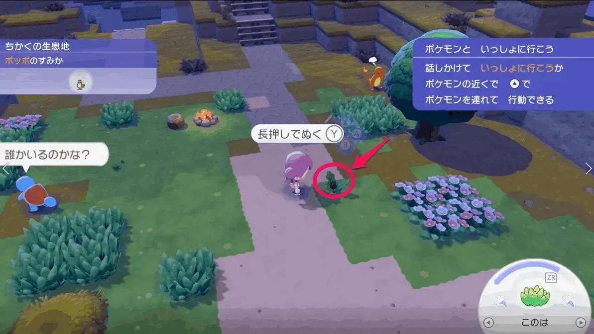 葉っぱを入手する