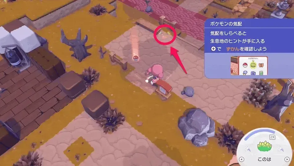 エビワラーの痕跡