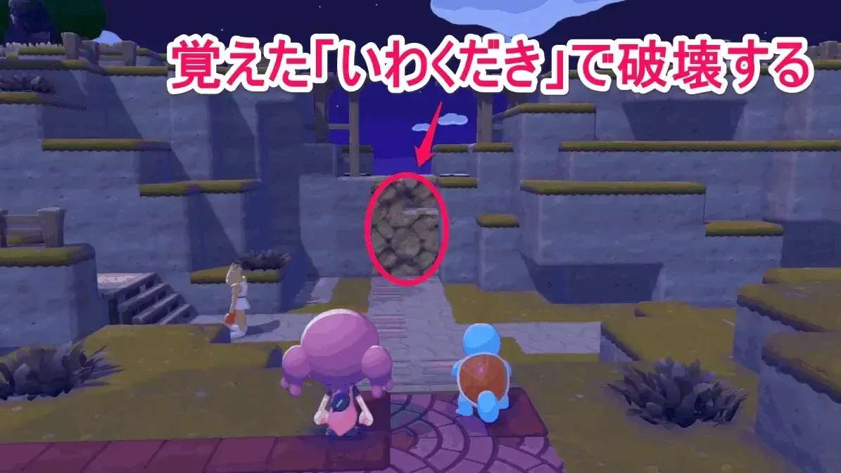 ゼニガメのお願い