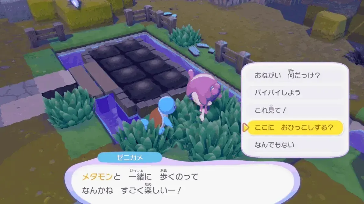 ゼニガメの引っ越し