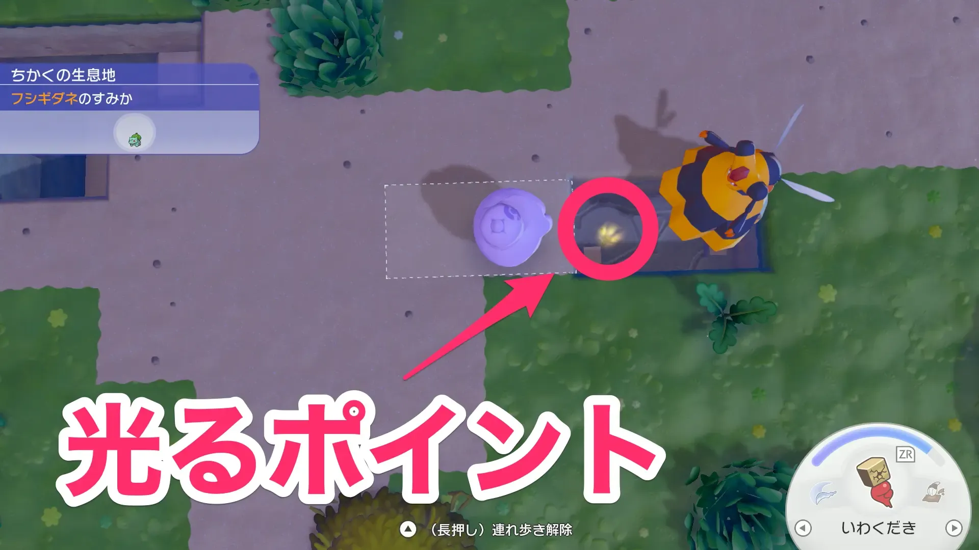 光るポイント