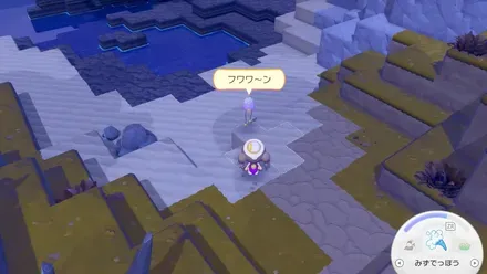 フワンテとの出会い