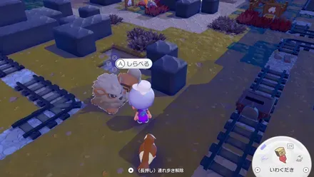 にんぎょうに話かけるとフワンテを呼べる