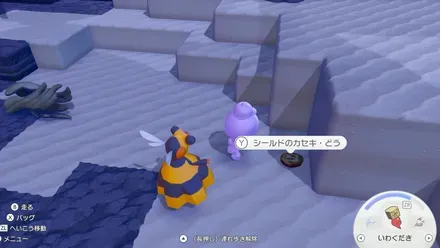 かせきの見た目