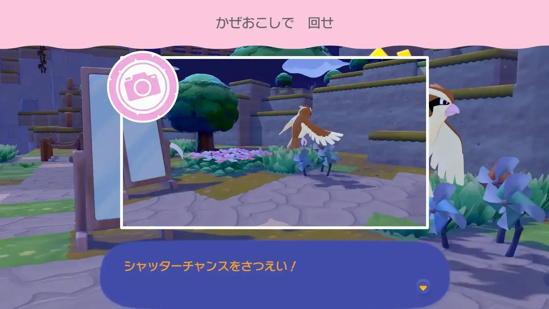 ポケモンとアイテムを用意