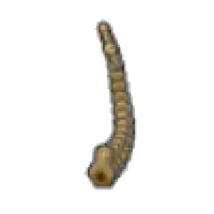 ツンドラのカセキ・しっぽ