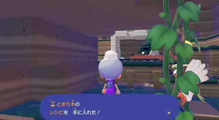 とまり木のレシピ