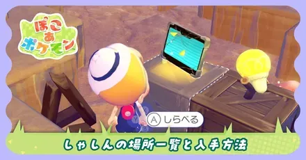 しゃしん場所バナー