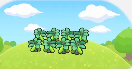 フレッシュ野菜畑